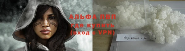 не бодяженный Дмитров