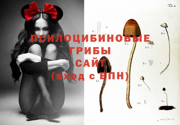не бодяженный Дмитров
